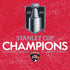 NHL 2024 Stanley Cup Champions Panthers Nintendo 2DS XL (2017) Skin